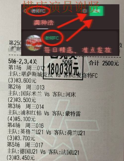 开云世界杯赔率变化趋势与投注策略解析 开云世界杯赔率变化趋势与投注策略解析