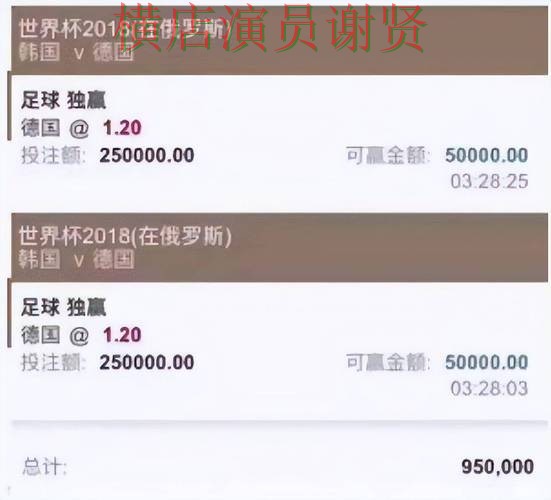 世界杯数据期间热门世界杯投注平台解析与真实体验分析 世界杯数据期间热门世界杯投注平台解析与真实体验分析